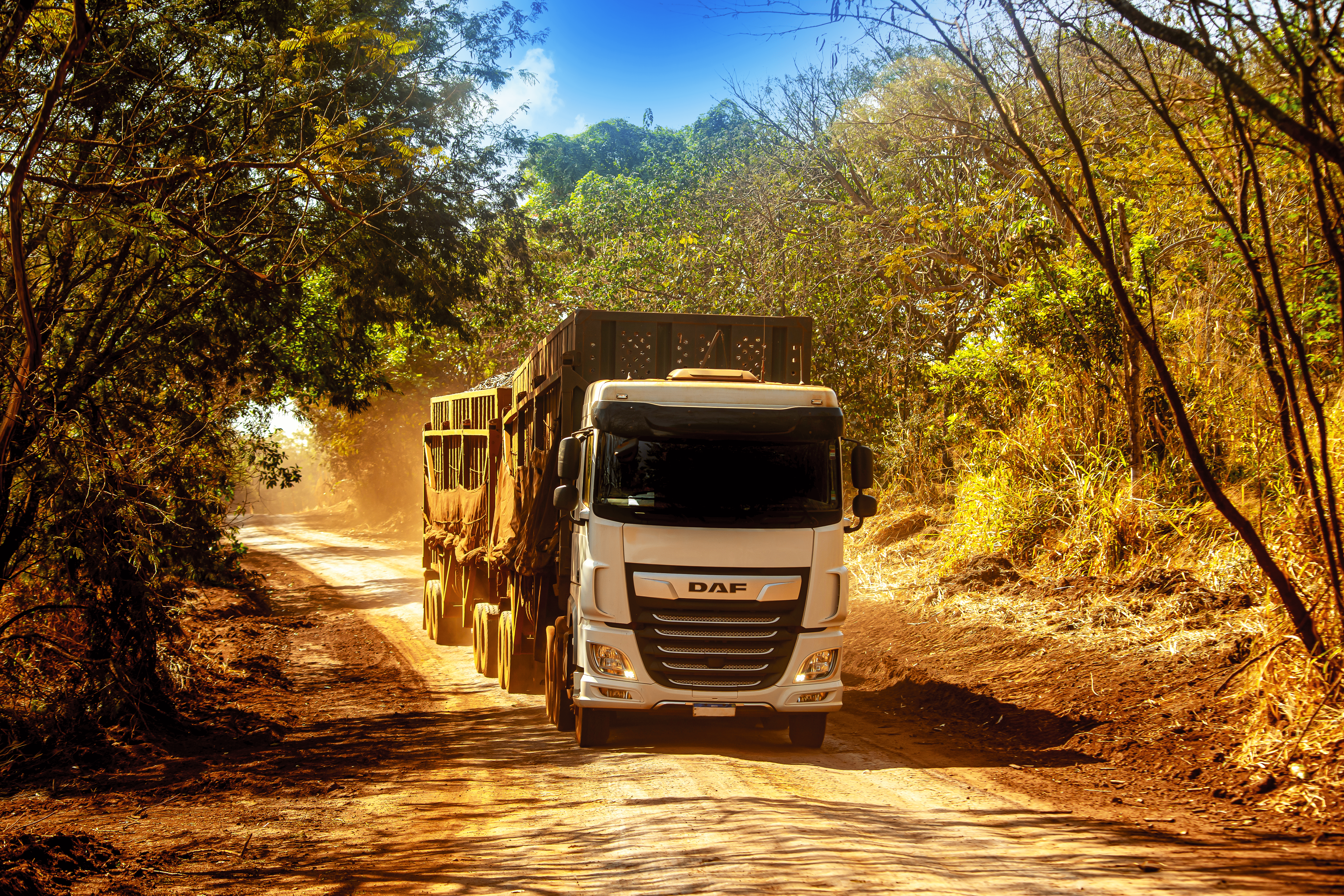 XF pelo Brasil: Baixo consumo, robustez e conforto se destacam em operações dos caminhões DAF no Norte e Nordeste do país